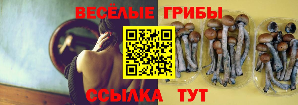 Галлюциногенные грибы ЛСД Рязань
